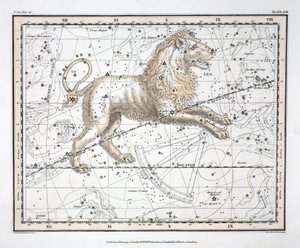 Konstelacje (tabl. XVII) Lew, z „Atlasu niebieskiego” Aleksandra Jamiesona, wyd. Londyn 1822 (ręcznie kolorowane grawerowanie)
